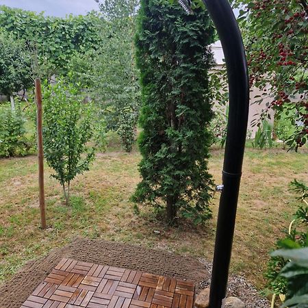 Casa Hariton Villa Dragus Bagian luar foto