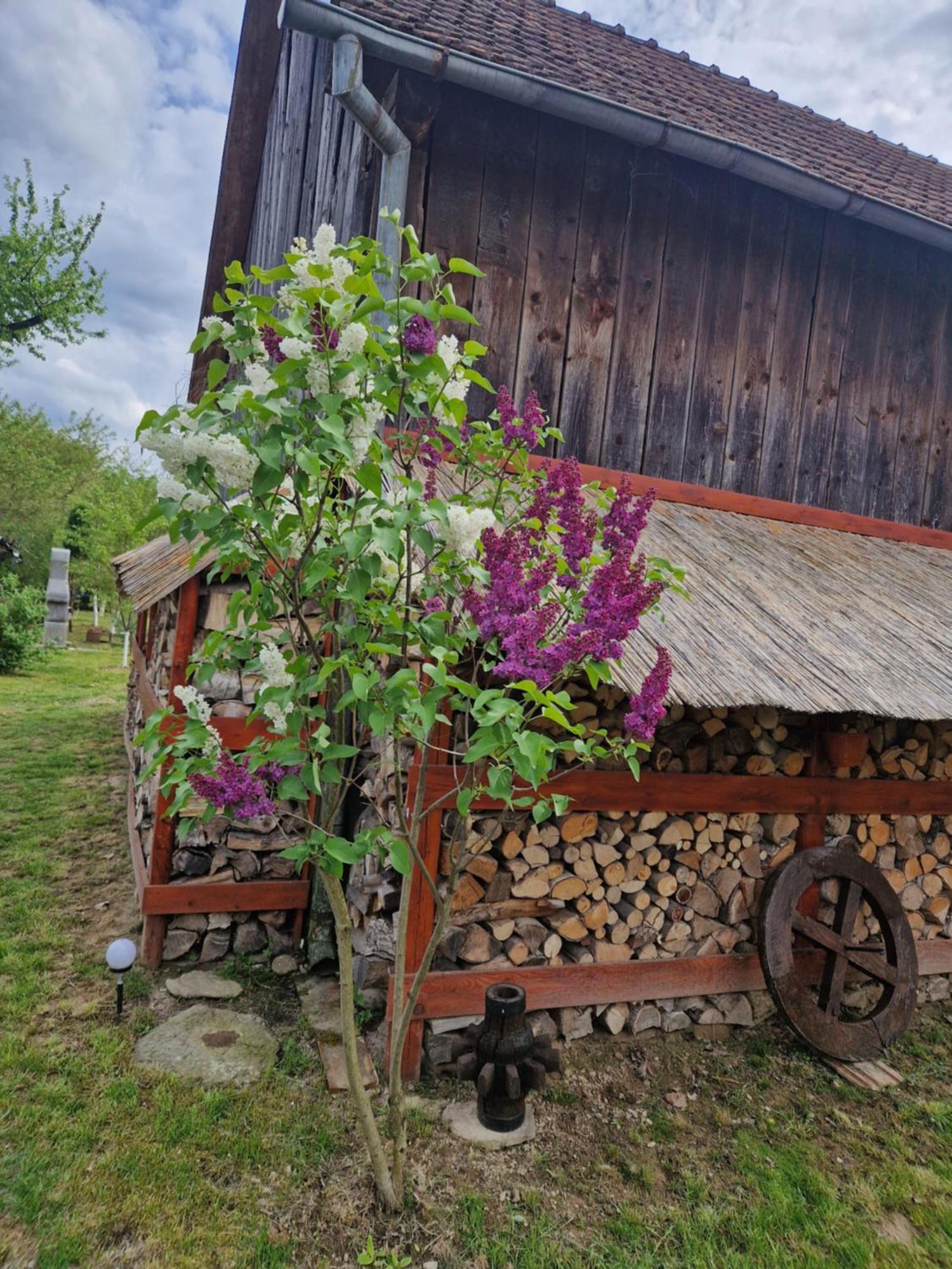 Casa Hariton Villa Dragus Bagian luar foto
