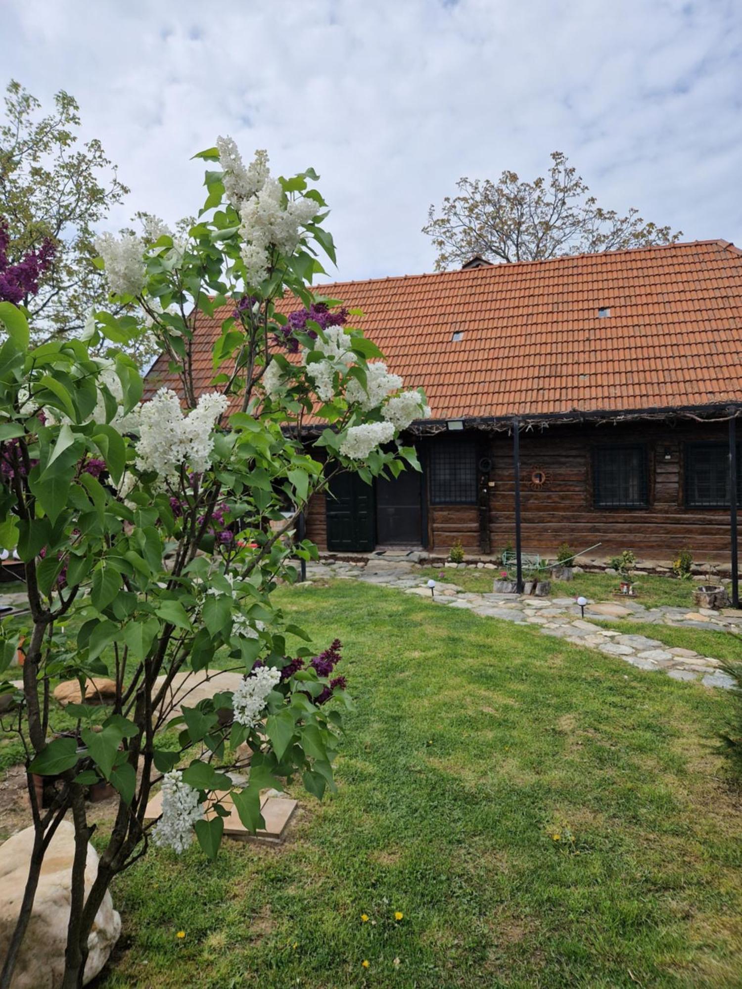 Casa Hariton Villa Dragus Bagian luar foto
